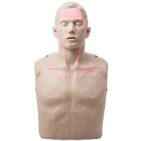 Brayden-Adult-Cutout-Full-Red-Lights (1)