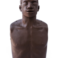 OBI_Conversion_kit_front_transp copy